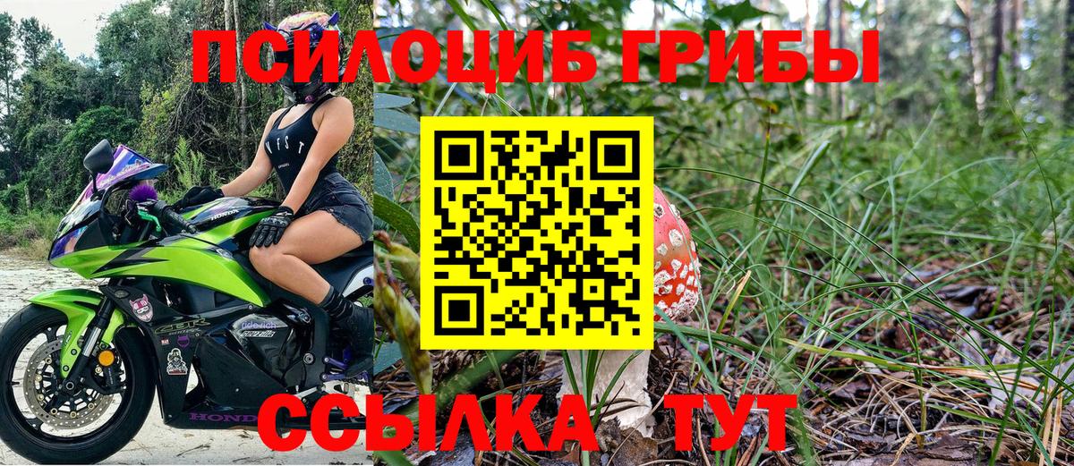Галлюциногенные грибы Psilocybine cubensis  Псилоцибиновые грибы ЛСД  Шебекино  Вход с VPN 